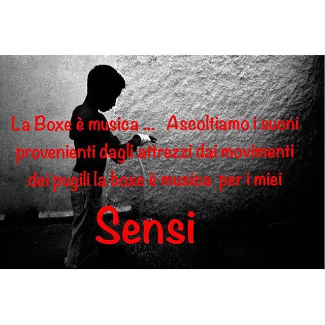 12642750_773228846114462_7166668876878038395_n