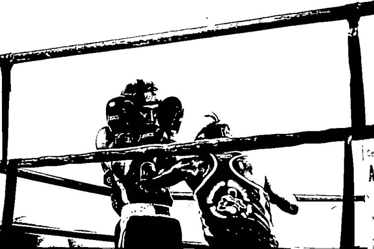 1601392_10205294066782323_5764153330194171172_n